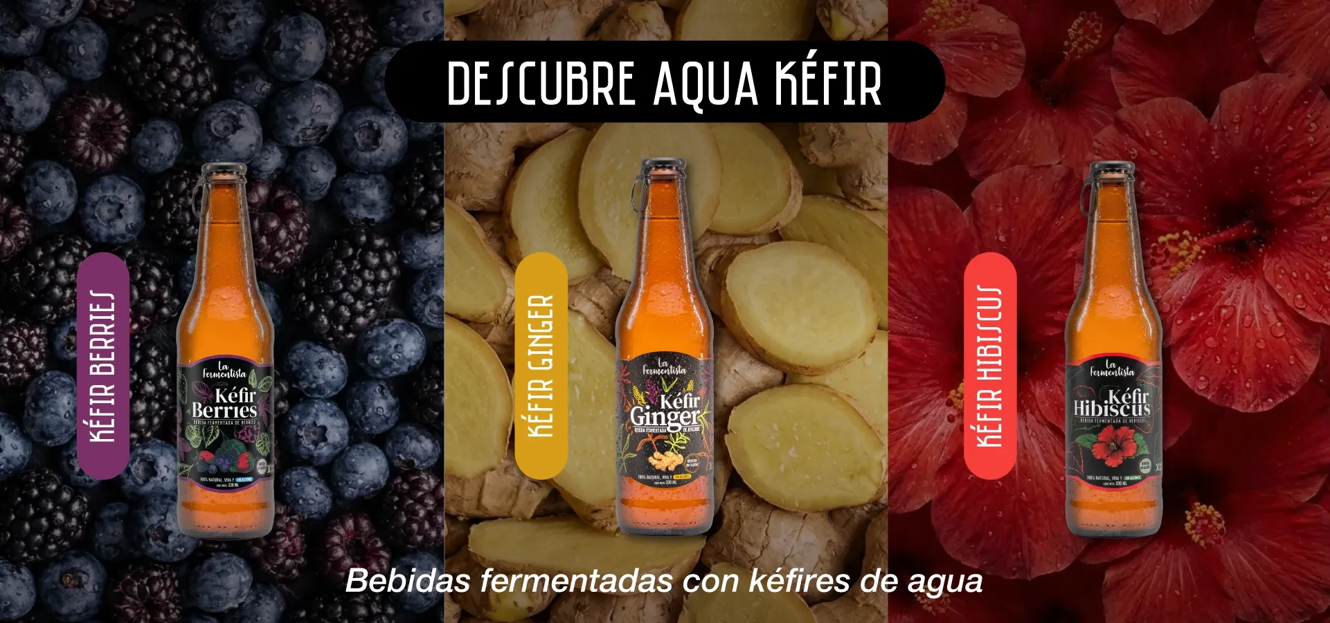 La Fermentista