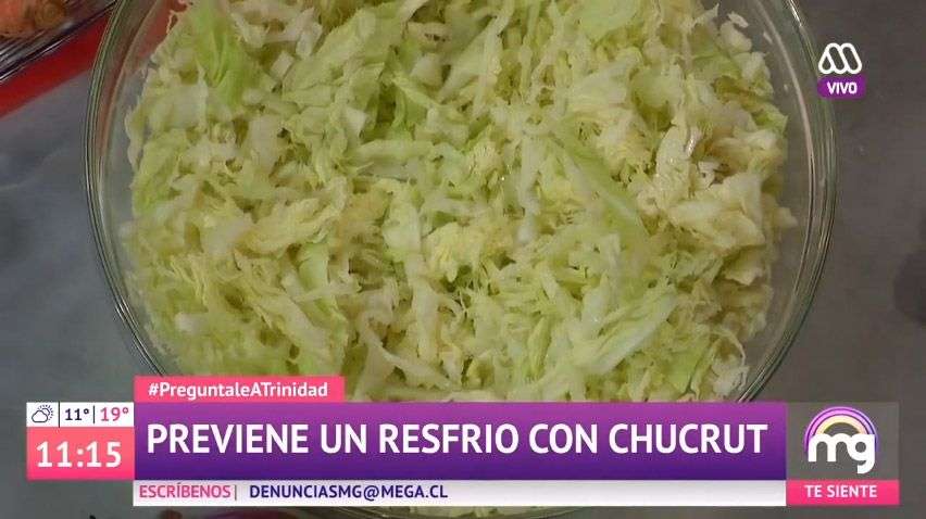 mucho-gusto-2019
